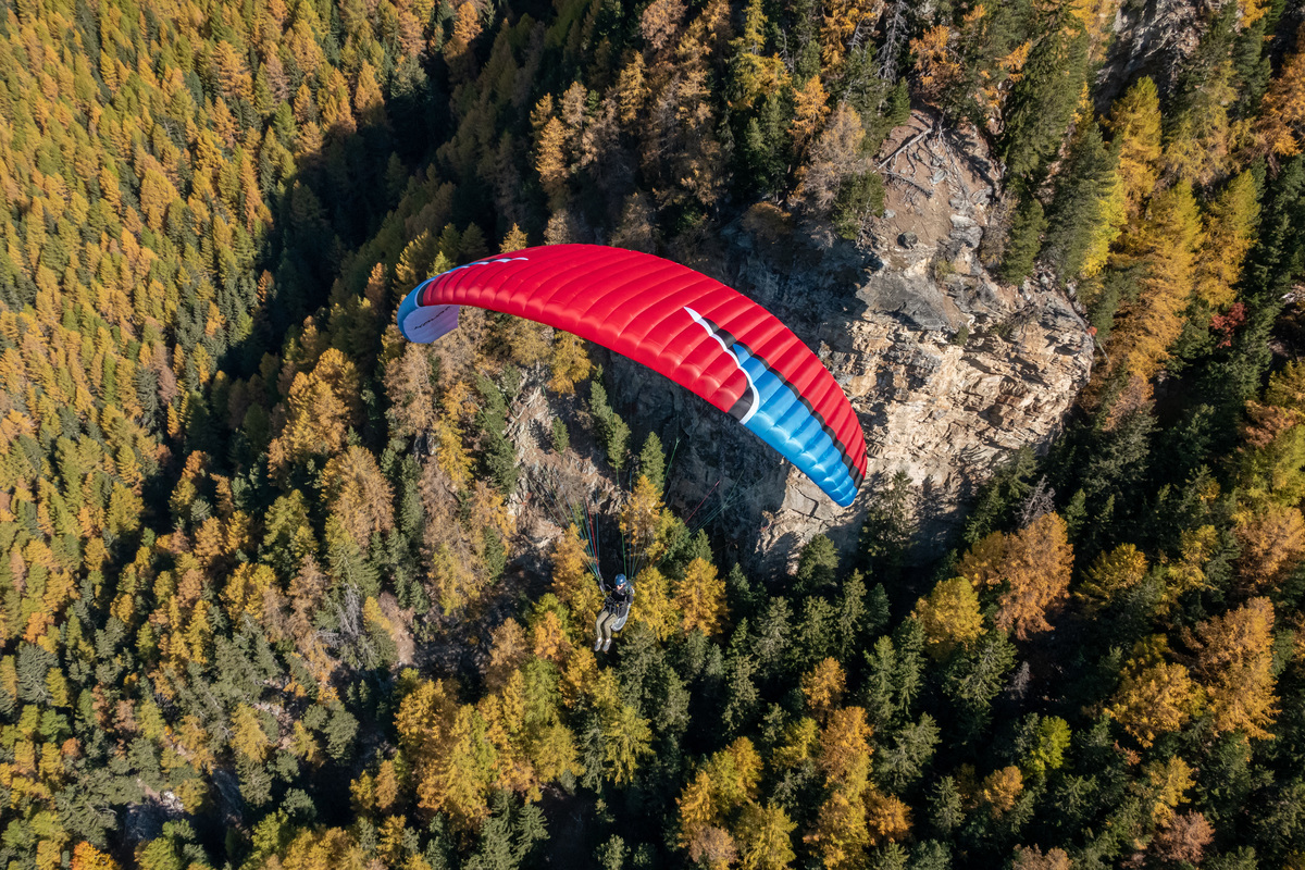 картинка Параплан Niviuk Koyot 5